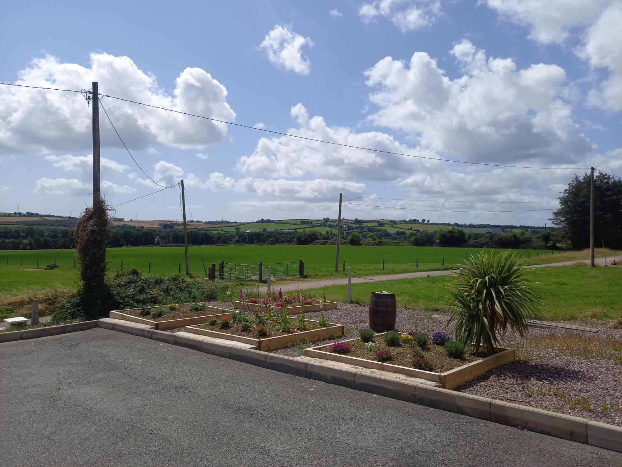 Teach Na Coille B&B Midleton Exteriör bild