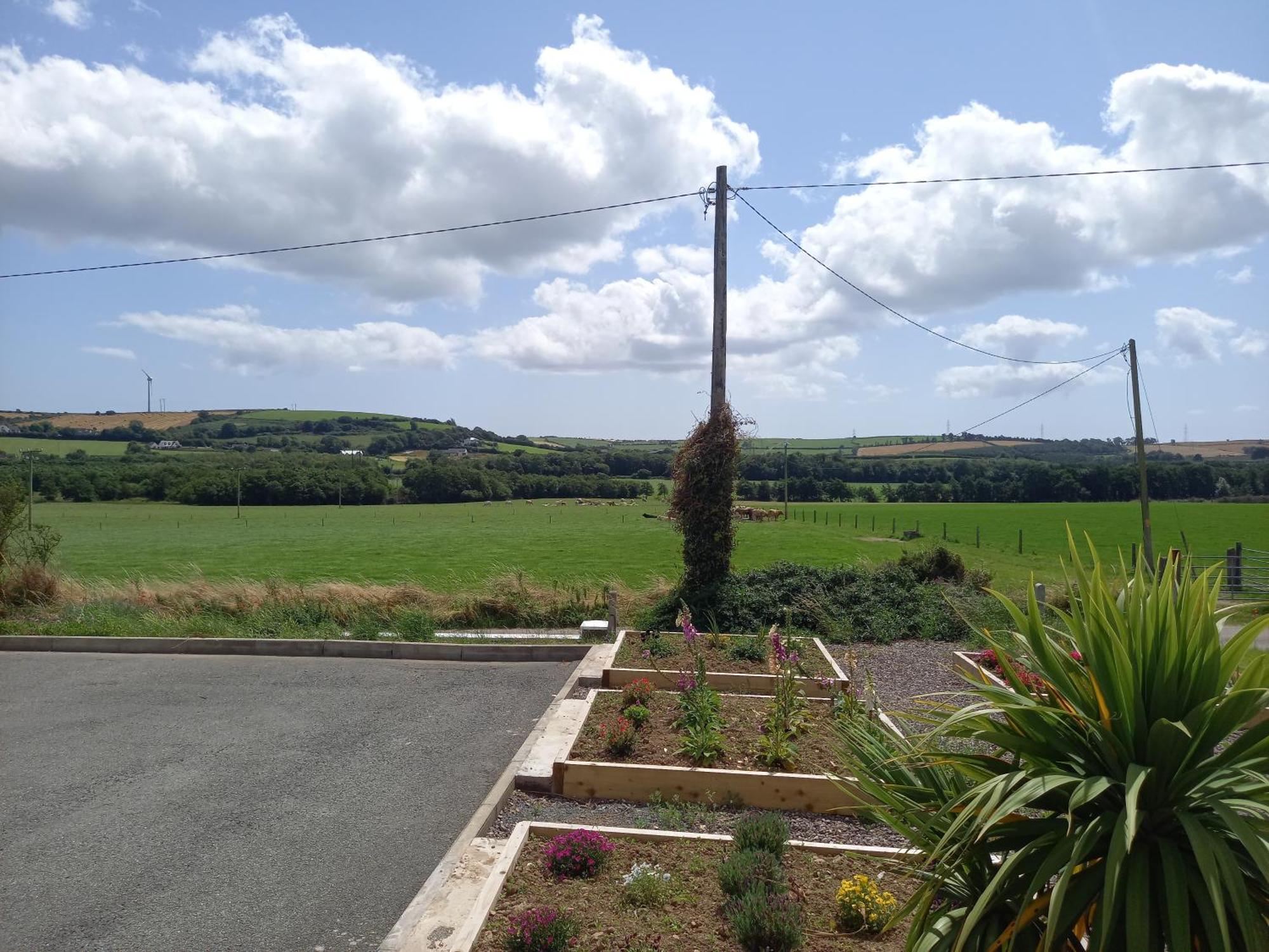 Teach Na Coille B&B Midleton Exteriör bild