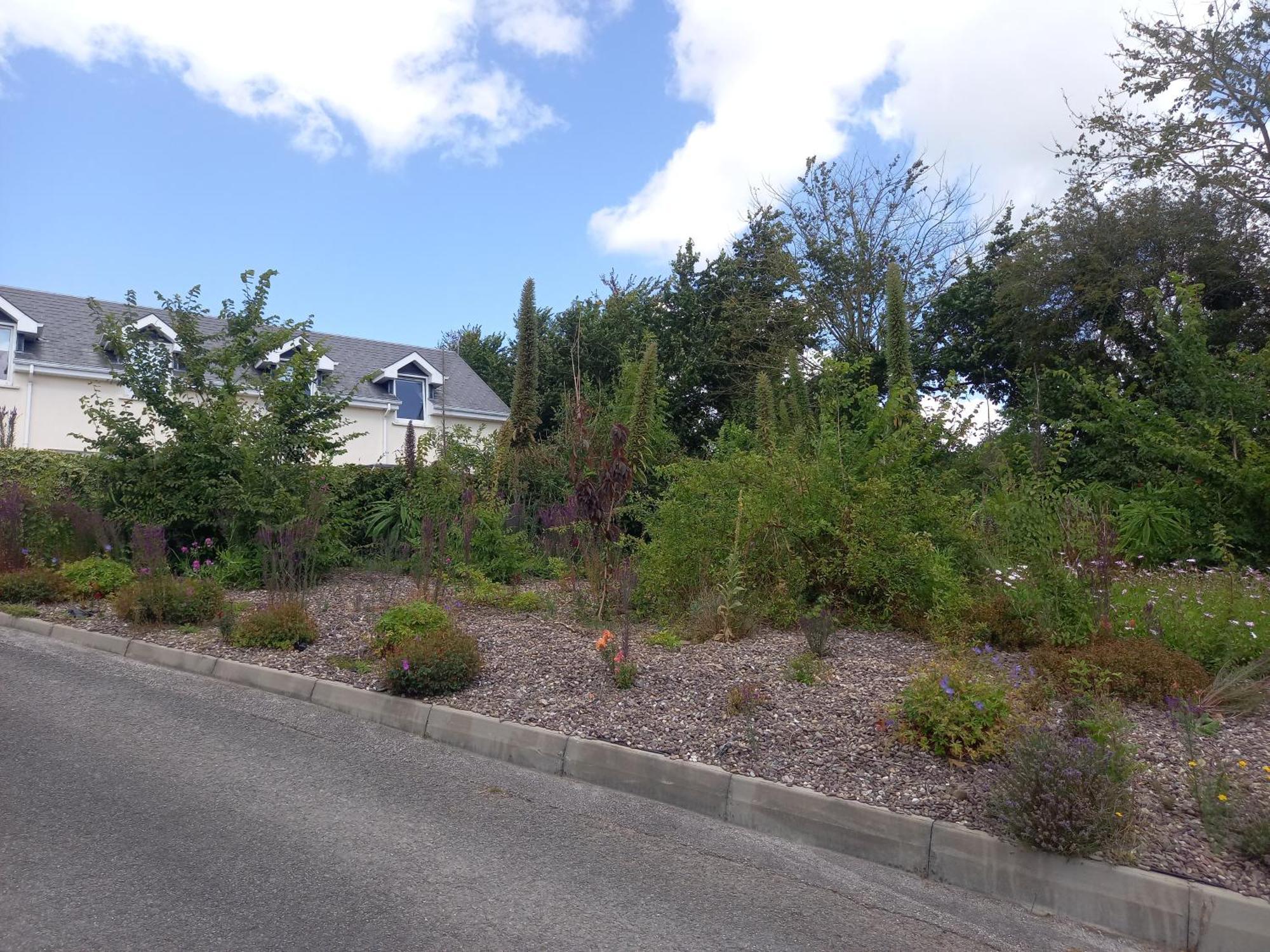 Teach Na Coille B&B Midleton Exteriör bild