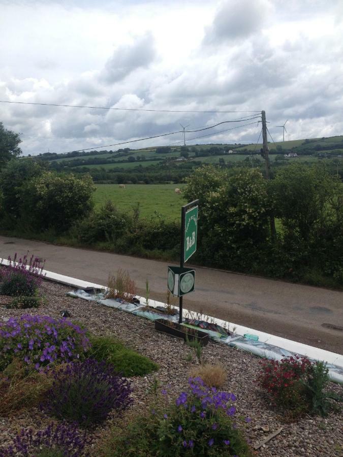 Teach Na Coille B&B Midleton Exteriör bild
