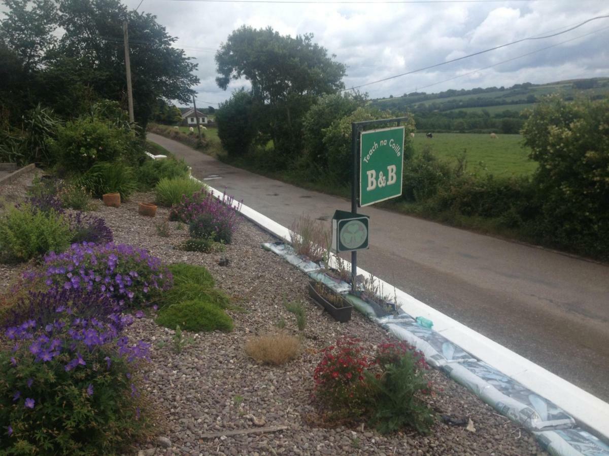 Teach Na Coille B&B Midleton Exteriör bild