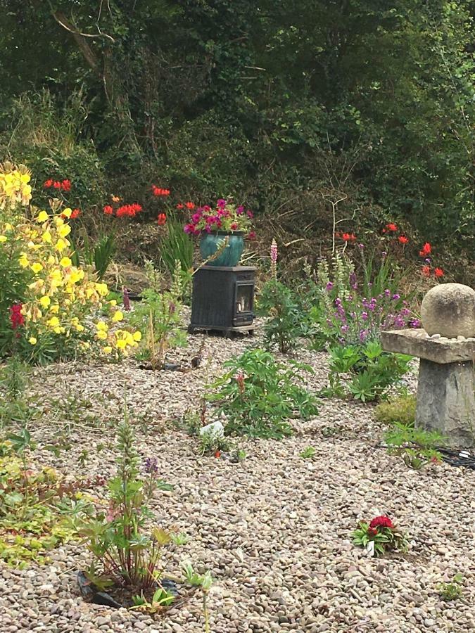 Teach Na Coille B&B Midleton Exteriör bild