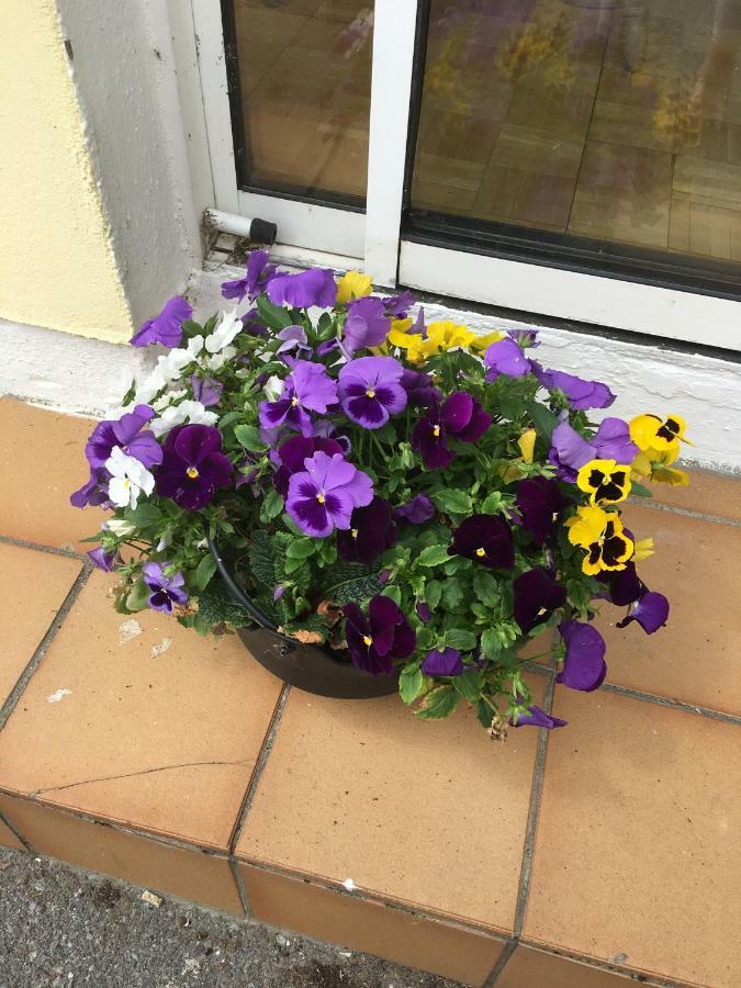 Teach Na Coille B&B Midleton Exteriör bild